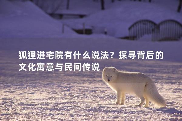 狐貍進宅院有什么說法？探尋背后的文化寓意與民間傳說